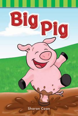 Big Pig (Targeted Phonics])