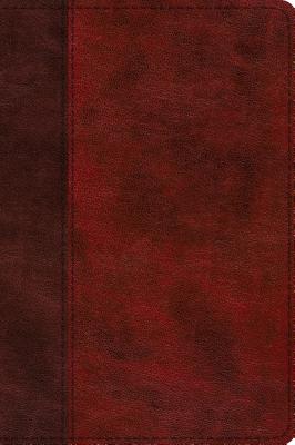 Image for ESV Journaling New Testament, Inductive Edition (TruTone, Burgundy/Red, Timeless Design)