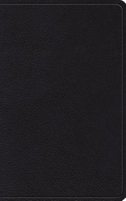 Image for ESV Thinline Bible (Black)