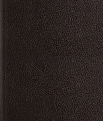 Image for ESV Journaling Bible (Buffalo Leather over Board, Deep Brown)
