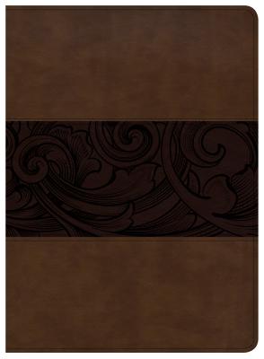 Image for CSB Study Bible, Mahogany LeatherTouch, Indexed