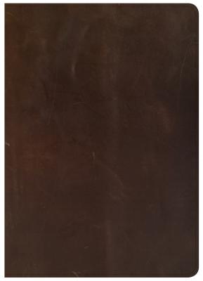 Image for CSB She Reads Truth Bible, Brown Genuine Leather, Black Letter, Full-Color Design, Wide Margins, Notetaking Space, Devotionals, Reading Plans, Two ... Sewn Binding, Easy-to-Read Bible Serif Type