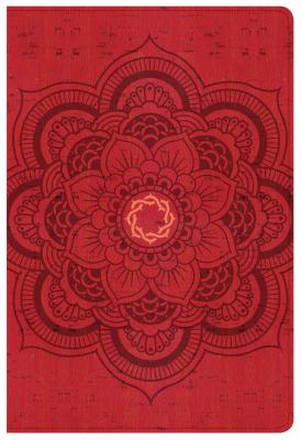 CSB Essential Teen Study Bible, Red Flower Cork LeatherTouch, Devotionals, Study Tools, Red Letter, Presentation Page, Full-Color Maps, Easy-to-Read Bible Serif Type