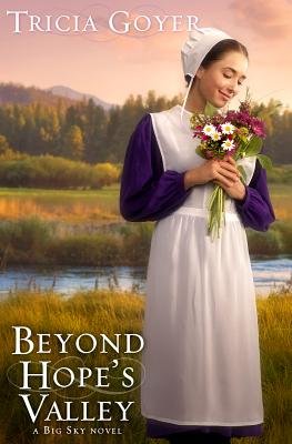 Image for Beyond Hope's Valley: A Big Sky Novel