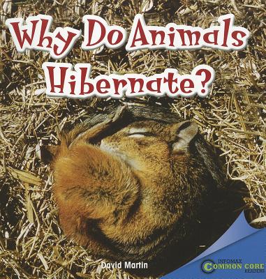 Why Do Animals Hibernate