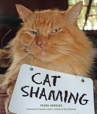 Image for Cat Shaming
