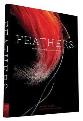 Image for Feathers: Displays of Brilliant Plumage