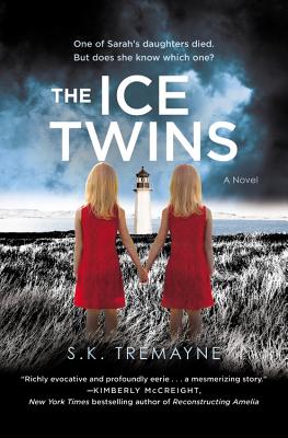 Ice Twins: A Novel