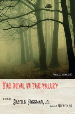 Image for The Devil in the Valley: A Novel
