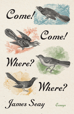 Come! Come! Where Where: Essays
