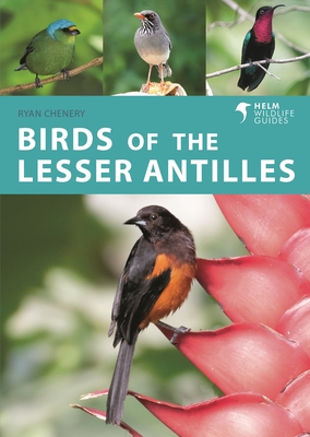 Image for Birds of the Lesser Antilles (Helm Wildlife Guides) Birds of the Lesser Antilles (Helm Wildlife Guides)