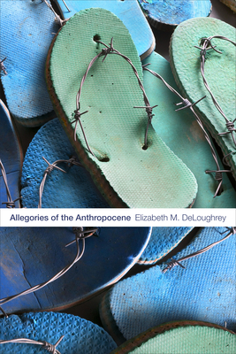 Image for Allegories of the Anthropocene Allegories of the Anthropocene