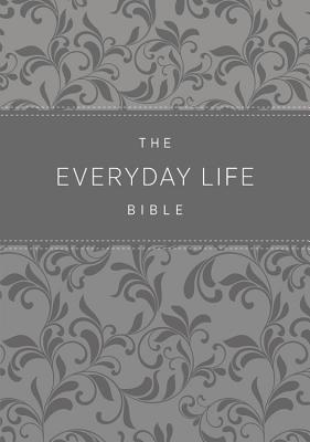 Image for "Amplified Everyday Life Bible: The Power Of Gods Word For Everyday Living, Imitation Leather, pewte"