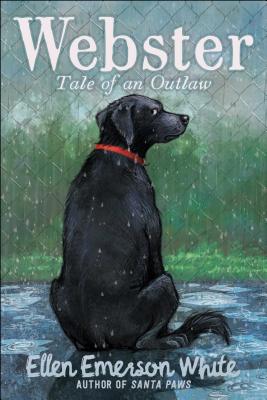 Webster: Tale of an Outlaw (Reprint)