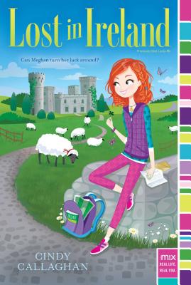 Image for Lost in Ireland (mix) Lost in Ireland (mix)