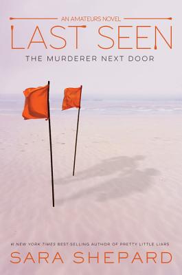 Last Seen (The Amateurs, 3)