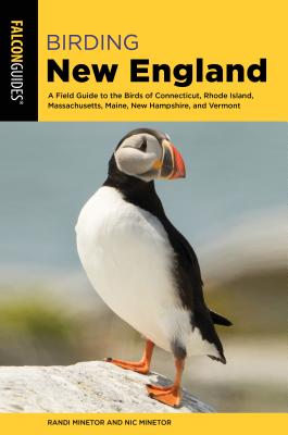 Birding New England: A Field Guide To The Birds Of