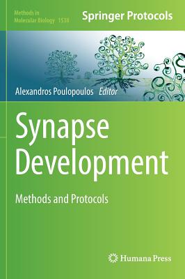 Synapse Development: Methods and Protocols (Methods in Molecular Biology, 1538)