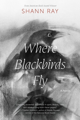 Where Blackbirds Fly