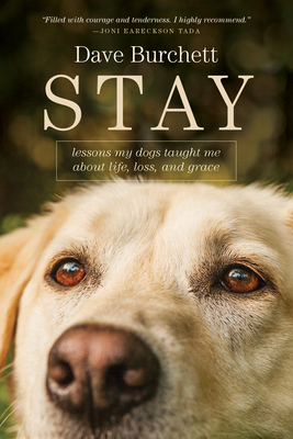 Image for Stay: Lessons My Dogs Taught Me about Life, Loss, and Grace