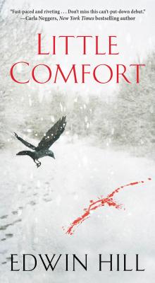 Little Comfort (A Hester Thursby Mystery)