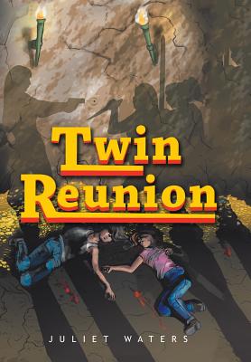 Image for Twin Reunion