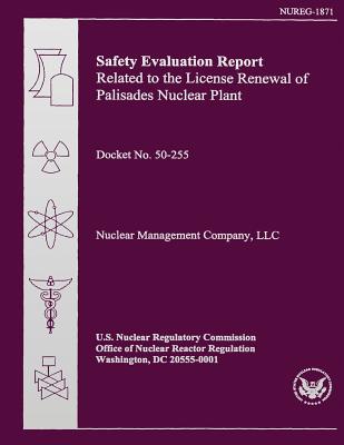 Safety Evaluation Report Related to the License Renewal of Palisades Nuclear Plant