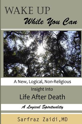 Wake Up While You Can: A New, Logical, Non-religious Insight Into Life After Death