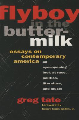 Image for FLYBOY IN THE BUTTERMILK: ESSAYS ON CONTEMPORARY AMERICA