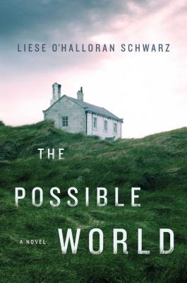 The Possible World: A Novel