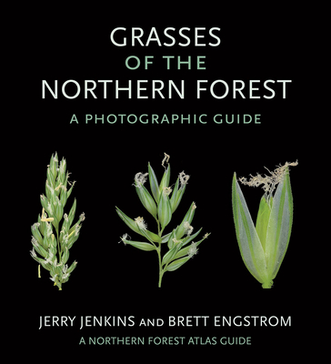Grasses of the Northern Forest: A Photographic Guide (The Northern Forest Atlas Guides)