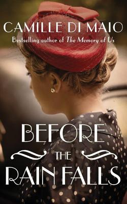 Image for Before the Rain Falls: A Novel