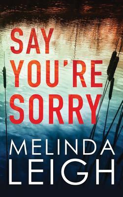 Say You're Sorry (Morgan Dane)