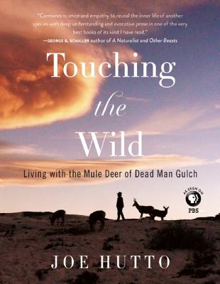 Image for Touching the Wild: Living with the Mule Deer of Deadman Gulch