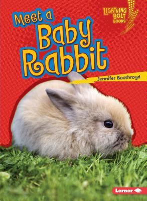Meet a Baby Rabbit (Lightning Bolt Books Baby Farm Animals)