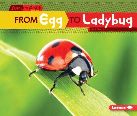 From Egg to Ladybug (Start to Finish, Second Series)