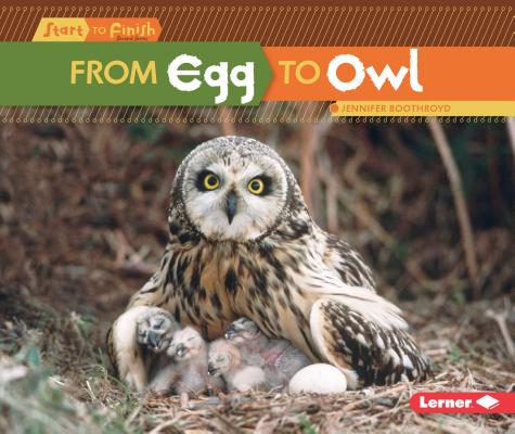 From Egg to Owl (Start to Finish, Second Series) Image for From Egg to Owl (Start to Finish, Second Series)