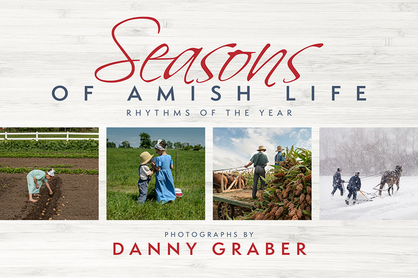 Image for Seasons of Amish Life: Rhythms of the Year