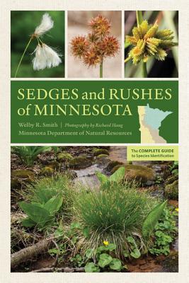 Sedges and Rushes of Minnesota: The Complete Guide to Species Identification
