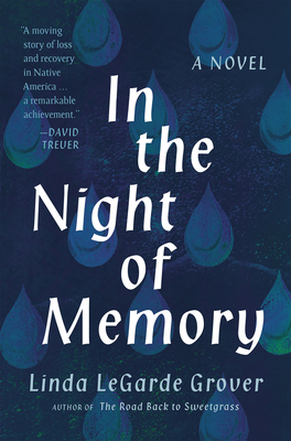 In the Night of Memory: A Novel