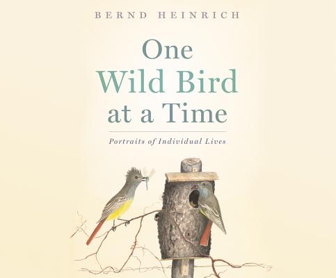 Image for One Wild Bird at a Time: Portraits of Individual Lives
