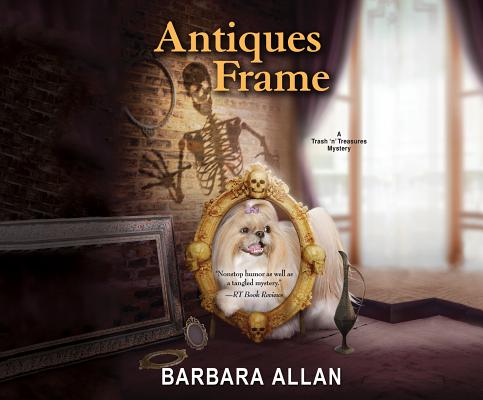 Image for Antiques Frame (Trash 'N' Treasure Mysteries)