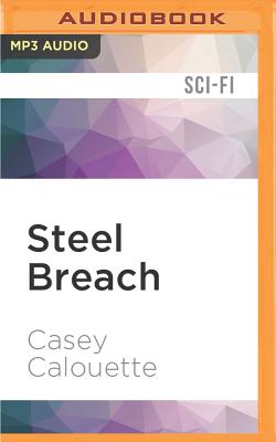 Image for Steel Breach