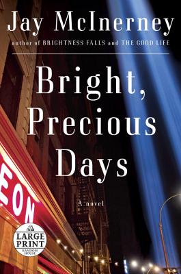 Bright, Precious Days: A novel (Random House Large Print)