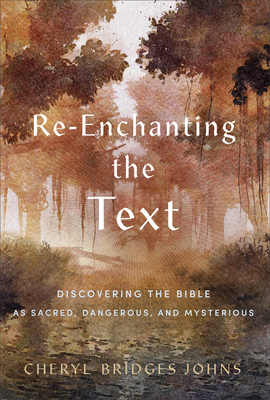 Image for Re-enchanting the Text: Discovering the Bible as Sacred, Dangerous, and Mysterious