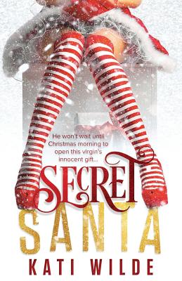 Secret Santa (Hot Holidays)
