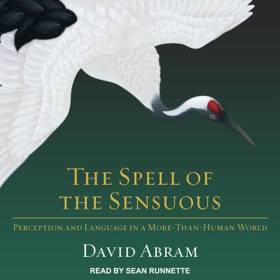 The Spell of the Sensuous: Perception and Language in a More-Than-Human World Image for The Spell of the Sensuous: Perception and Language in a More-Than-Human World