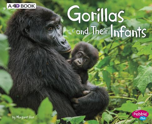 Gorillas and Their Infants: A 4D Book (Animal Offspring) (Pebble Plus: Animal Offspring)
