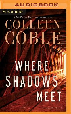 Image for Where Shadows Meet: A Romantic Suspense Novel