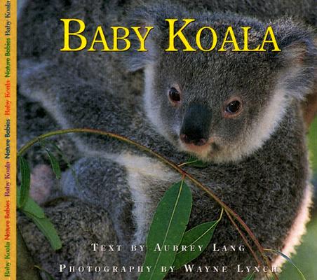 Image for Baby Koala (Nature Babies)